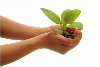 Câu hỏi 12: Công tác xã hội ở Việt Nam xuất hiện từ bao giờ và phát triển như thế nào?